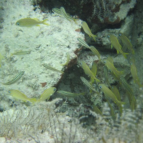 IMG_0176 IMG_0176