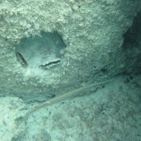 IMG_0178 IMG_0178