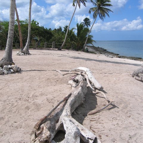 dominicanmay2007helosurveycanoladominicusiberostar 027 dominicanmay2007helosurveycanoladominicusiberostar 027