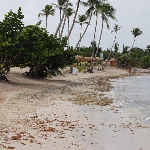 DSC_3150 DSC_3150