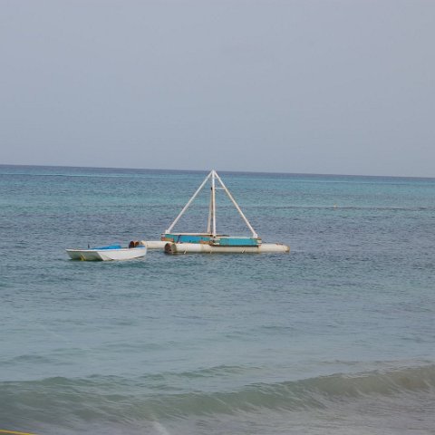 DSC_3153 DSC_3153