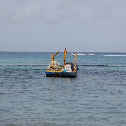 DSC_3154 DSC_3154
