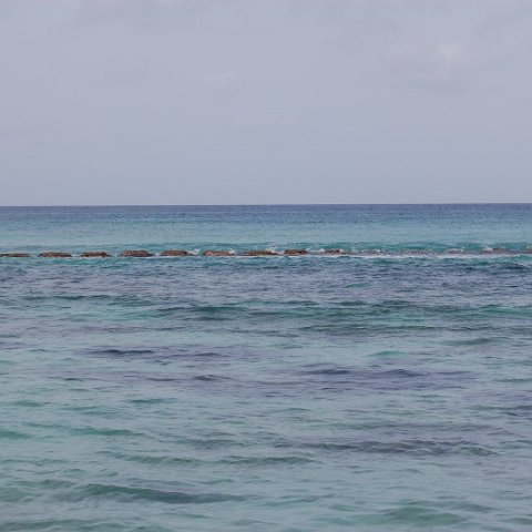 DSC_3156 DSC_3156