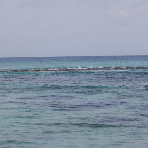 DSC_3157 DSC_3157