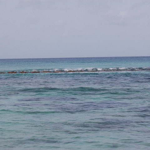 DSC_3158 DSC_3158