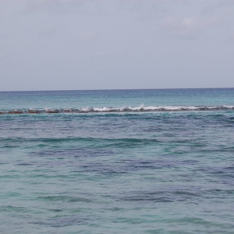 DSC_3159 DSC_3159