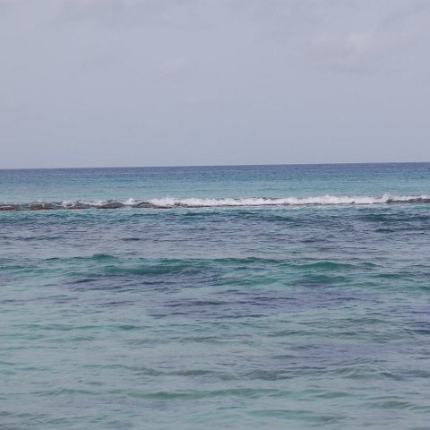 DSC_3160 DSC_3160