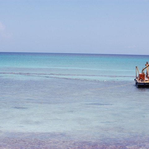 DSC_3205 DSC_3205