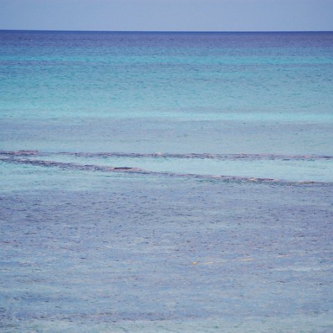 DSC_3206 DSC_3206