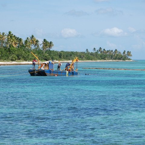 DSC_3217 DSC_3217