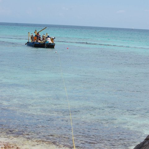 DSC_3223 DSC_3223