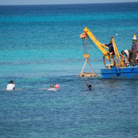 DSC_3232 DSC_3232