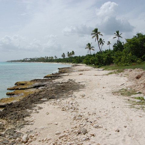 DSC_3252 DSC_3252