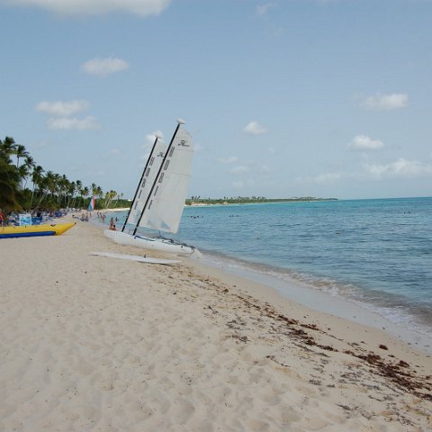 DSC_3272 DSC_3272