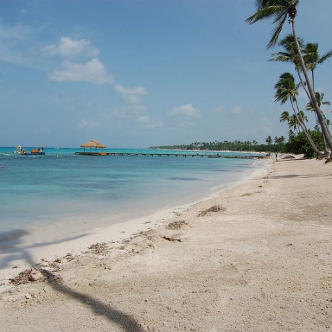 DSC_3345 DSC_3345