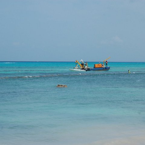 DSC_3349 DSC_3349