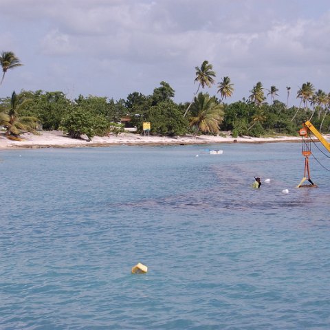 DSC_3361 DSC_3361