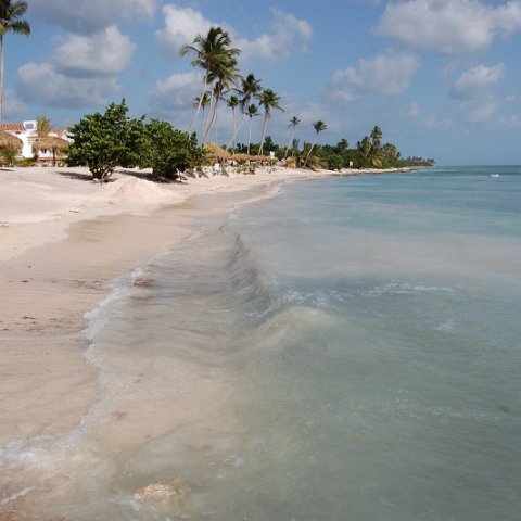 DSC_3489 DSC_3489
