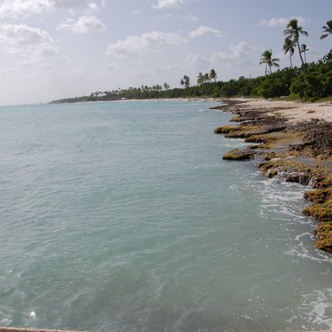 DSC_3491 DSC_3491