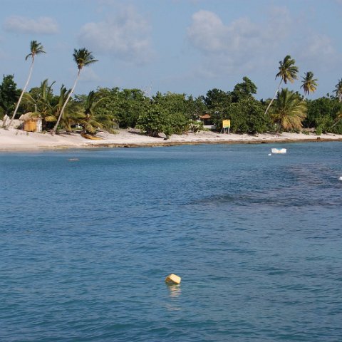 DSC_3516 DSC_3516