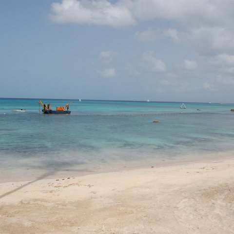 DSC_3583 DSC_3583