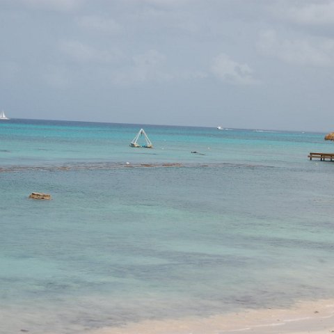 DSC_3584 DSC_3584