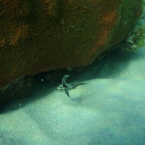 P7090062 P7090062