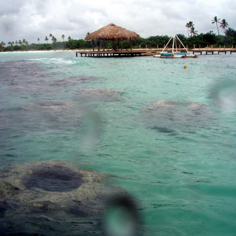 P7110099 P7110099