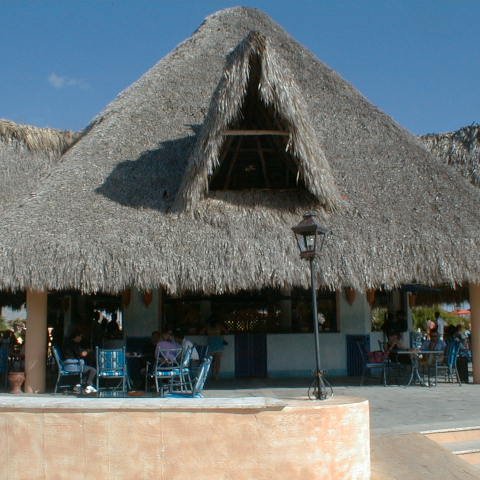 PIC00006 PIC00006