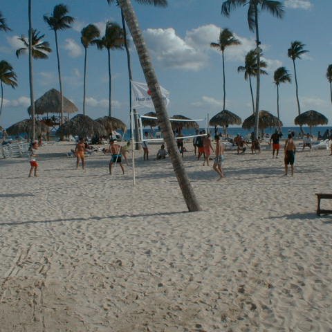 PIC00010 PIC00010