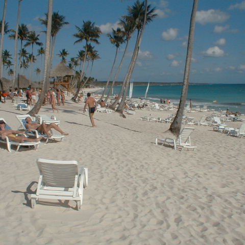 PIC00011 PIC00011