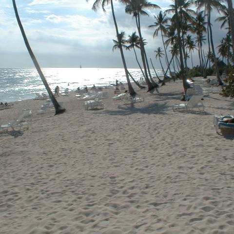 PIC00013 PIC00013