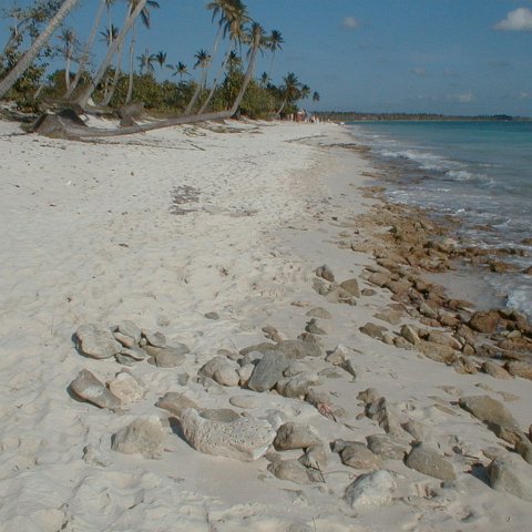 PIC00004 PIC00004