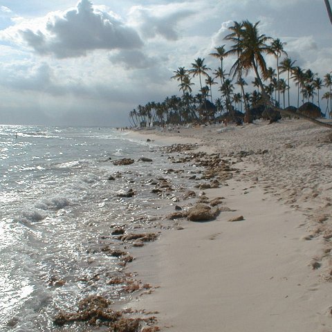 PIC00005 PIC00005