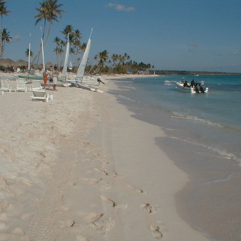 PIC00013 PIC00013