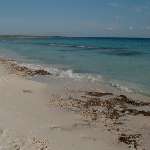 PIC00002 PIC00002