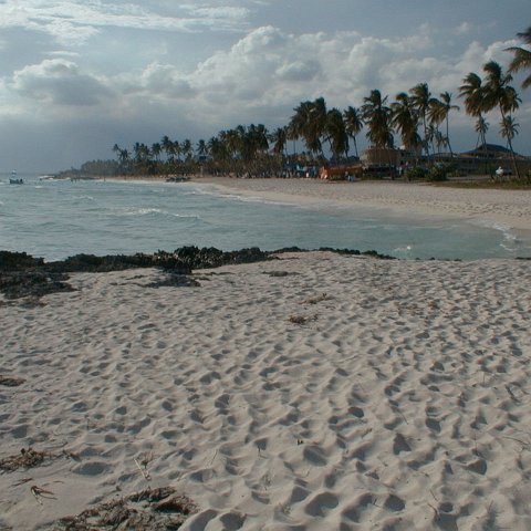 PIC00004 PIC00004