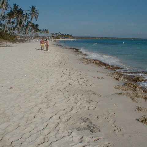 PIC00005 PIC00005