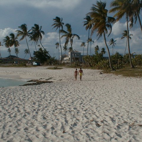PIC00006 PIC00006