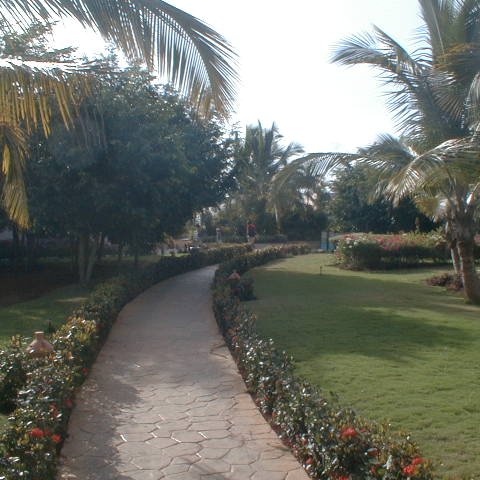 PIC00009 PIC00009