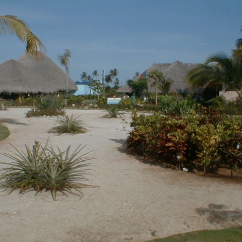 PIC00011 PIC00011