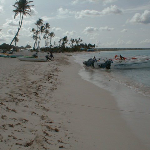 PIC00017 PIC00017