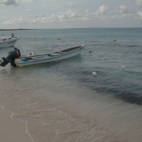 PIC00018 PIC00018