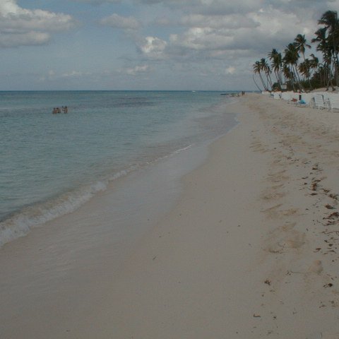 PIC00019 PIC00019