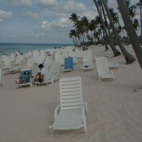 PIC00021 PIC00021
