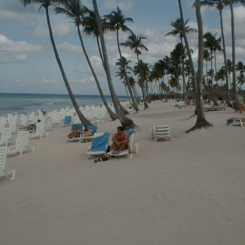 PIC00023 PIC00023