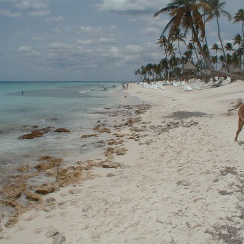 PIC00034 PIC00034
