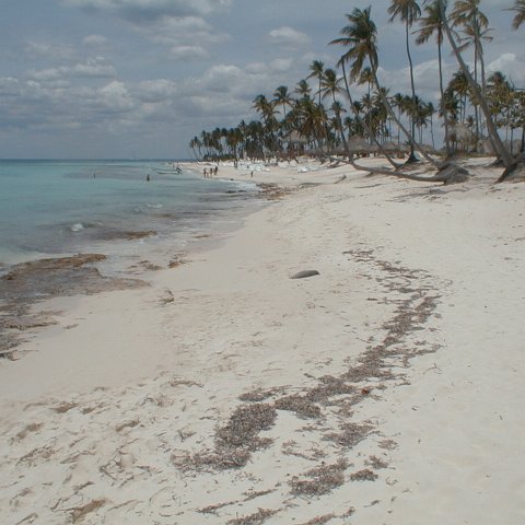 PIC00036 PIC00036