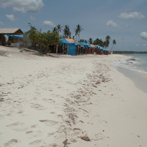 PIC00037 PIC00037