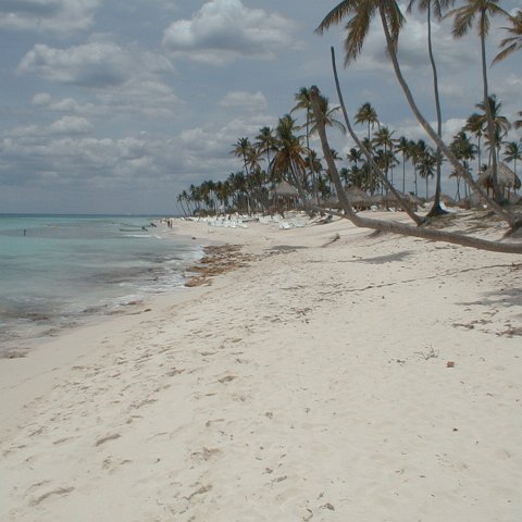 PIC00039 PIC00039